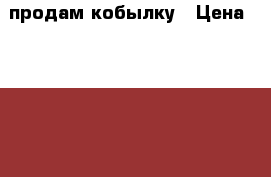 продам кобылку › Цена ­ 55 000 -  Животные и растения » Другие животные   